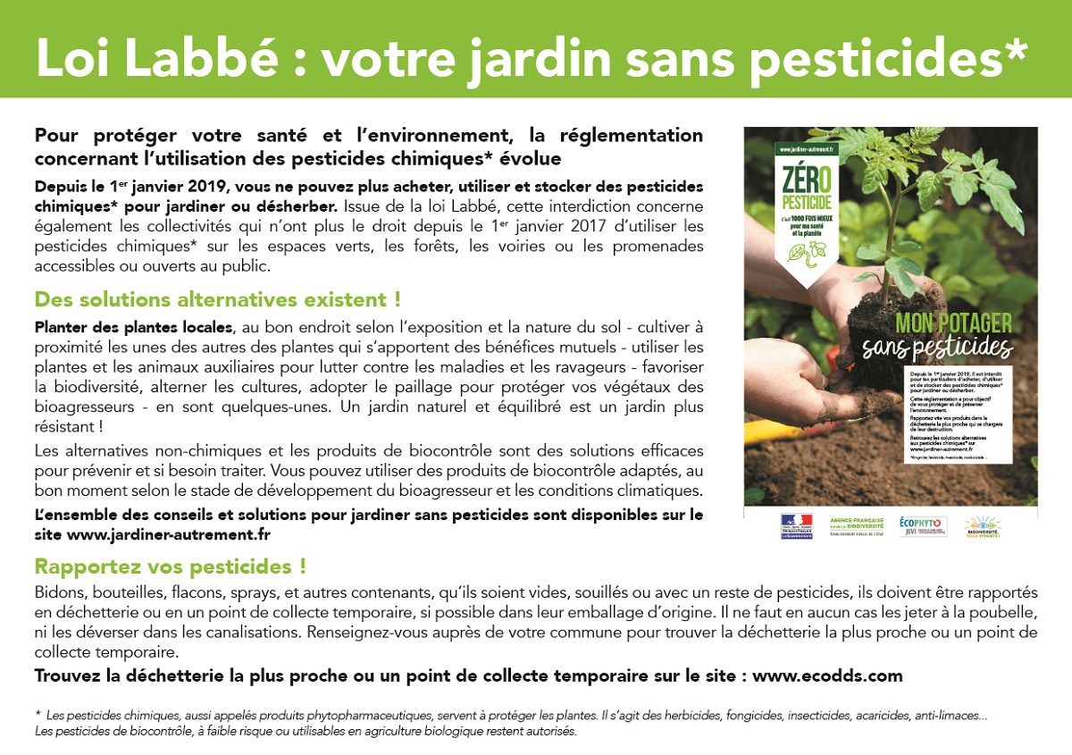 Article presse horizontal 2