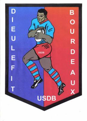 usdb rugby small